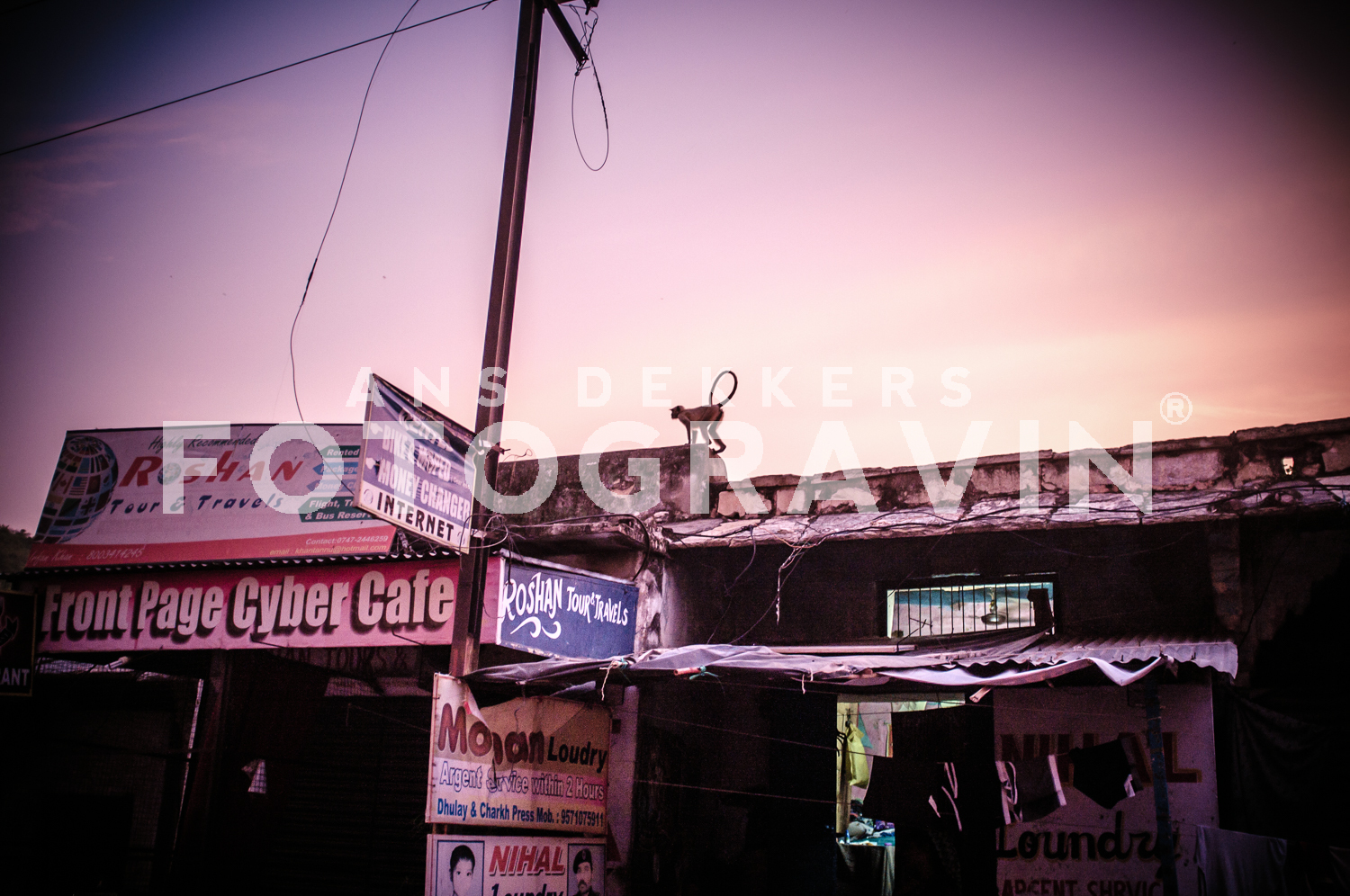 Monkey [Bundi, India]