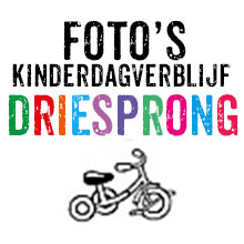 webknop-Driesprong